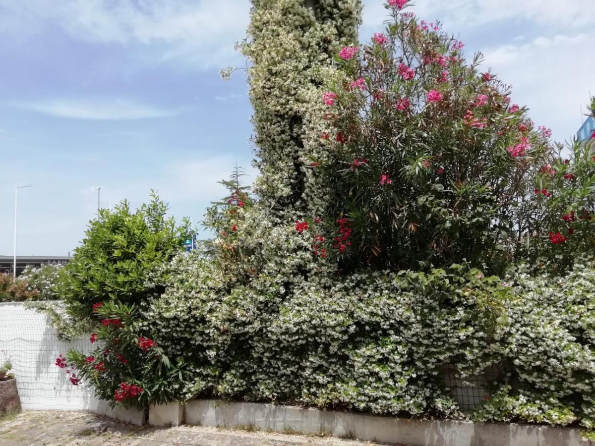 Ma.Di Bb Bed & Breakfast Rocca San Giovanni Dış mekan fotoğraf